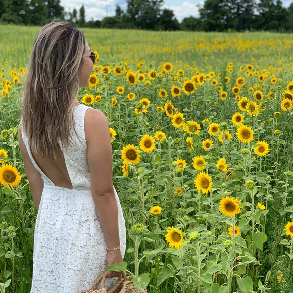 Meet your Posher, Mandy - Picture 1 of 1